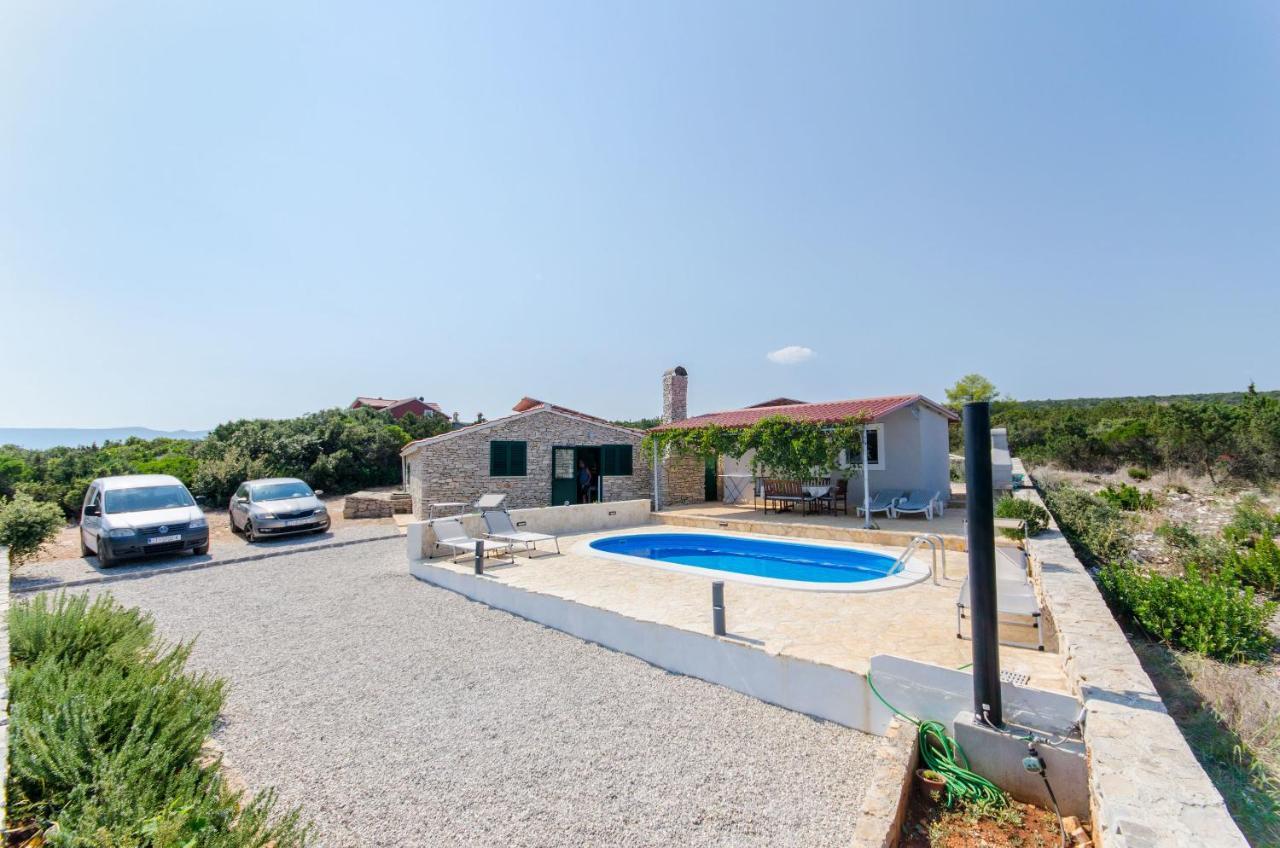 House Plani Rat